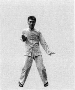 圖片5