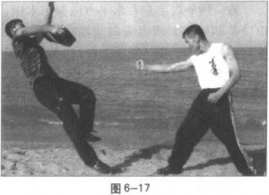 圖片5