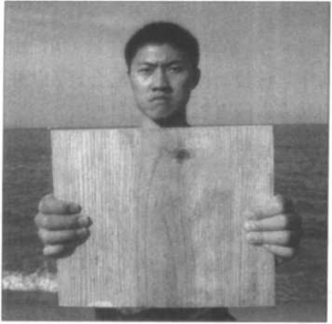 圖片8