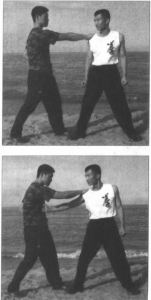 圖片19