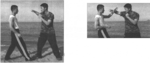 圖片22