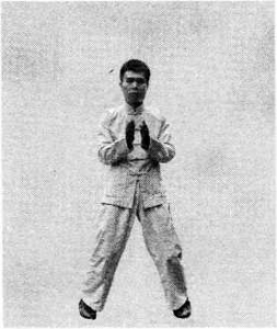 圖片41