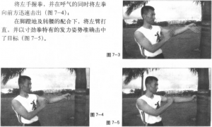 圖片28