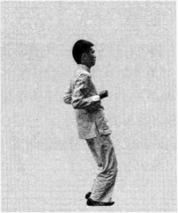 圖片81