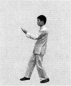 圖片84
