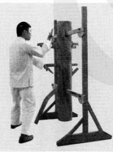 圖片14