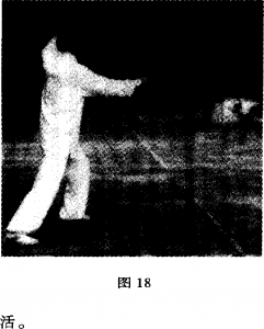 圖片45