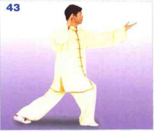 圖片25