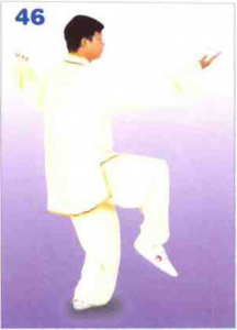 圖片27