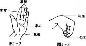 圖片2