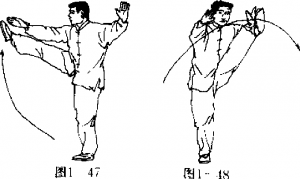 圖片31